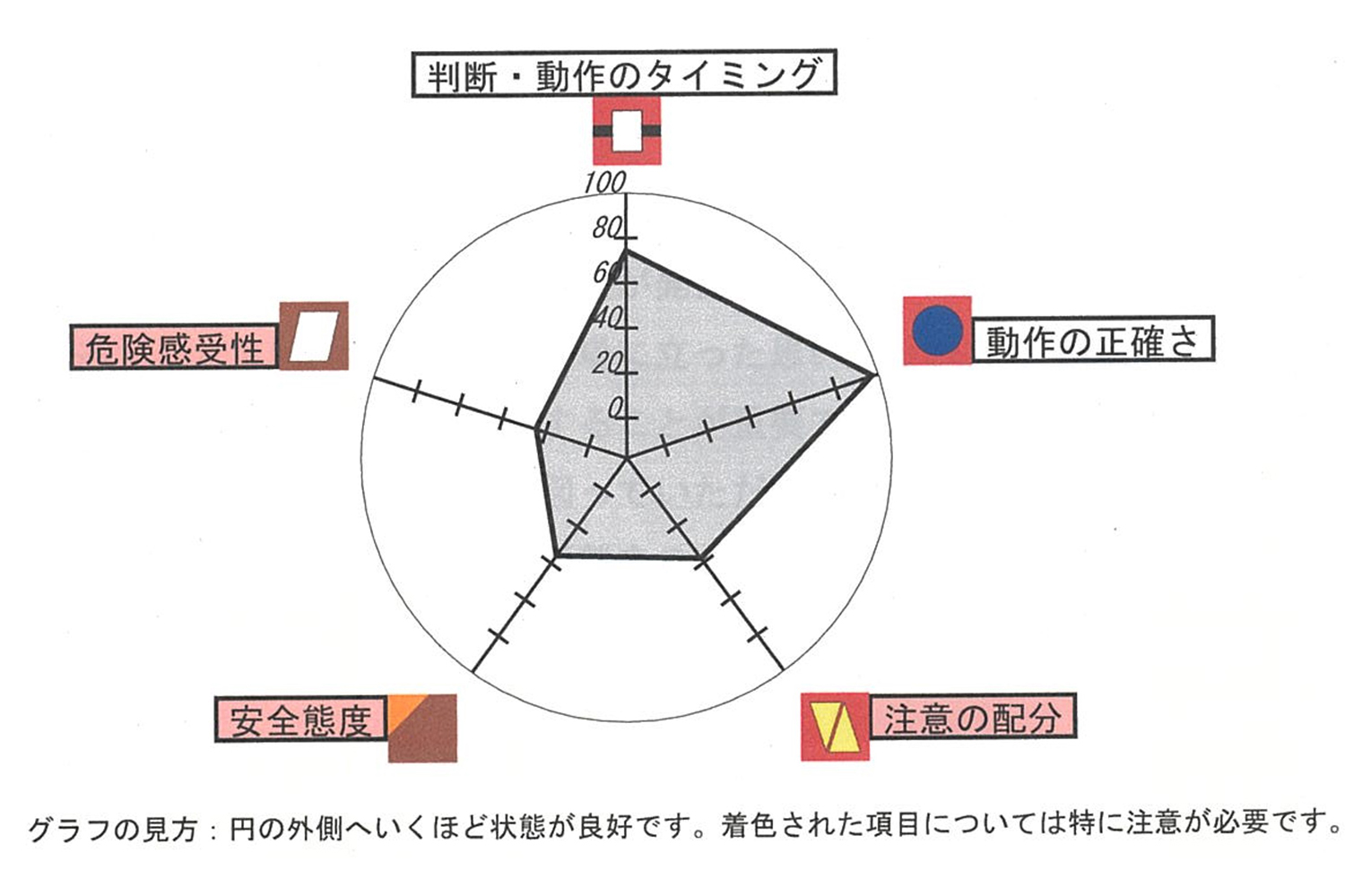 ナスバの一般診断の結果 〜 画像20