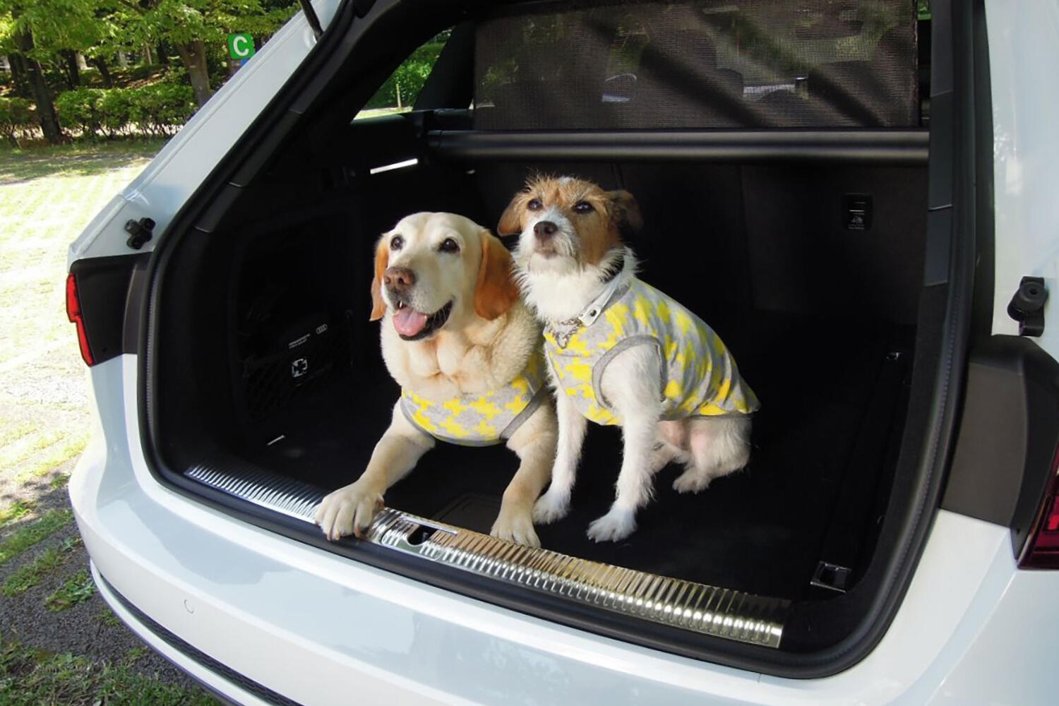 青山氏の愛犬と愛車 〜 画像10