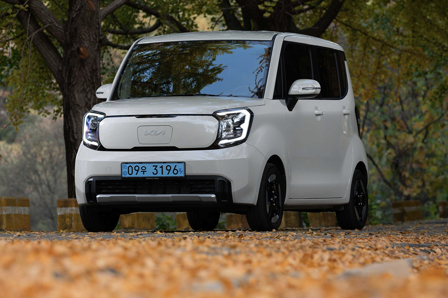 BYDラッコに続き投入か!?　韓国版・軽自動車「起亜レイ」なら日本の軽市場でも通用する可能性大