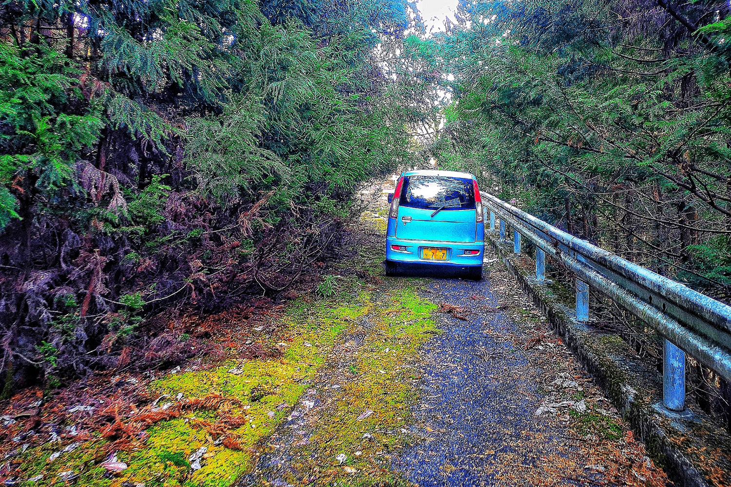 対面通行の狭い道路では避ける側が相手に道を譲るのがマナー 〜 画像6