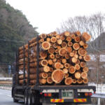 あんなに積んで大丈夫？　丸太満載のトラックが荷崩れしない「納得の理由」