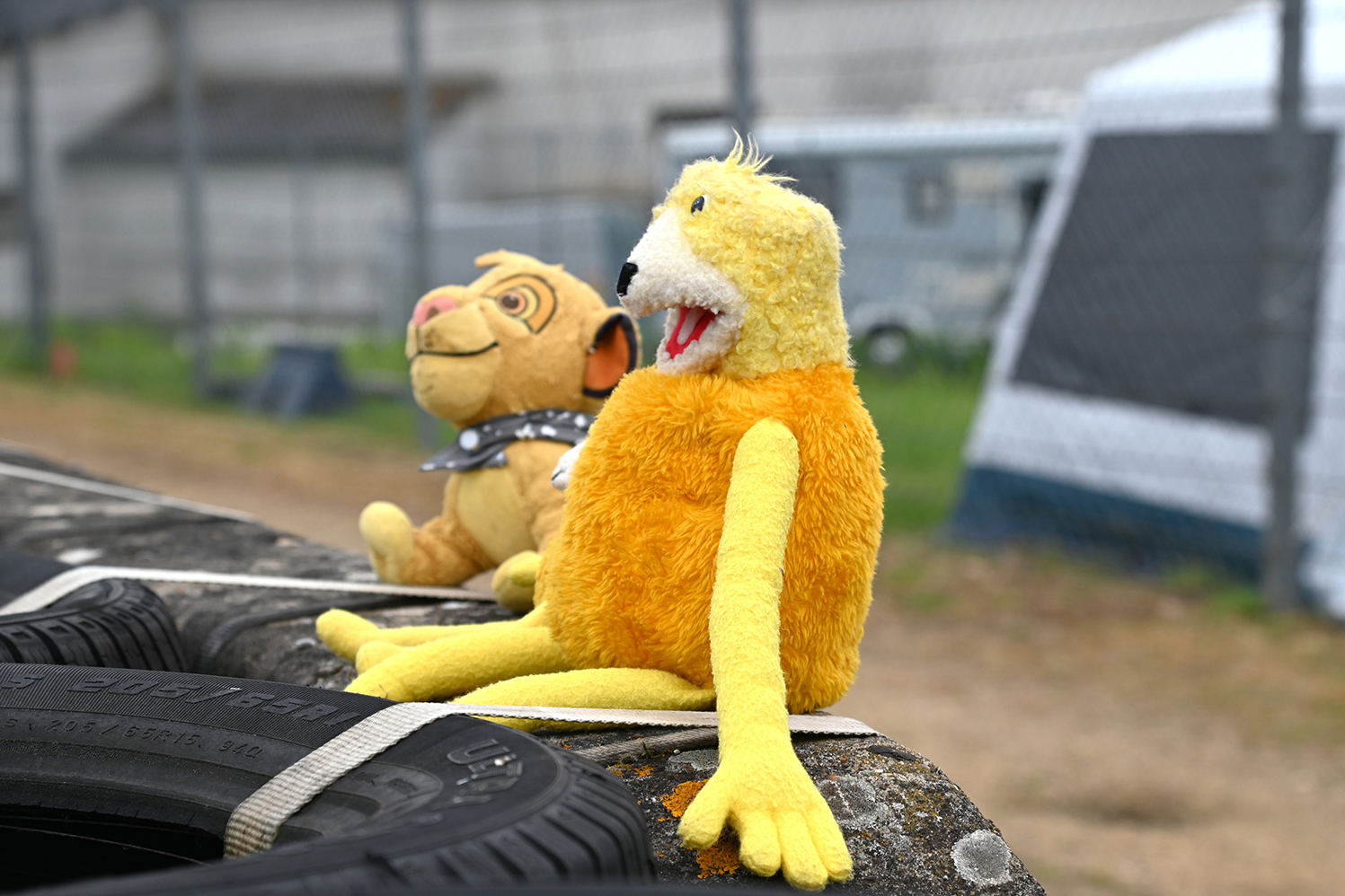 ル・マン24時間レース予選日の楽しみ方と舞台裏【みどり独乙通信】 〜 画像9