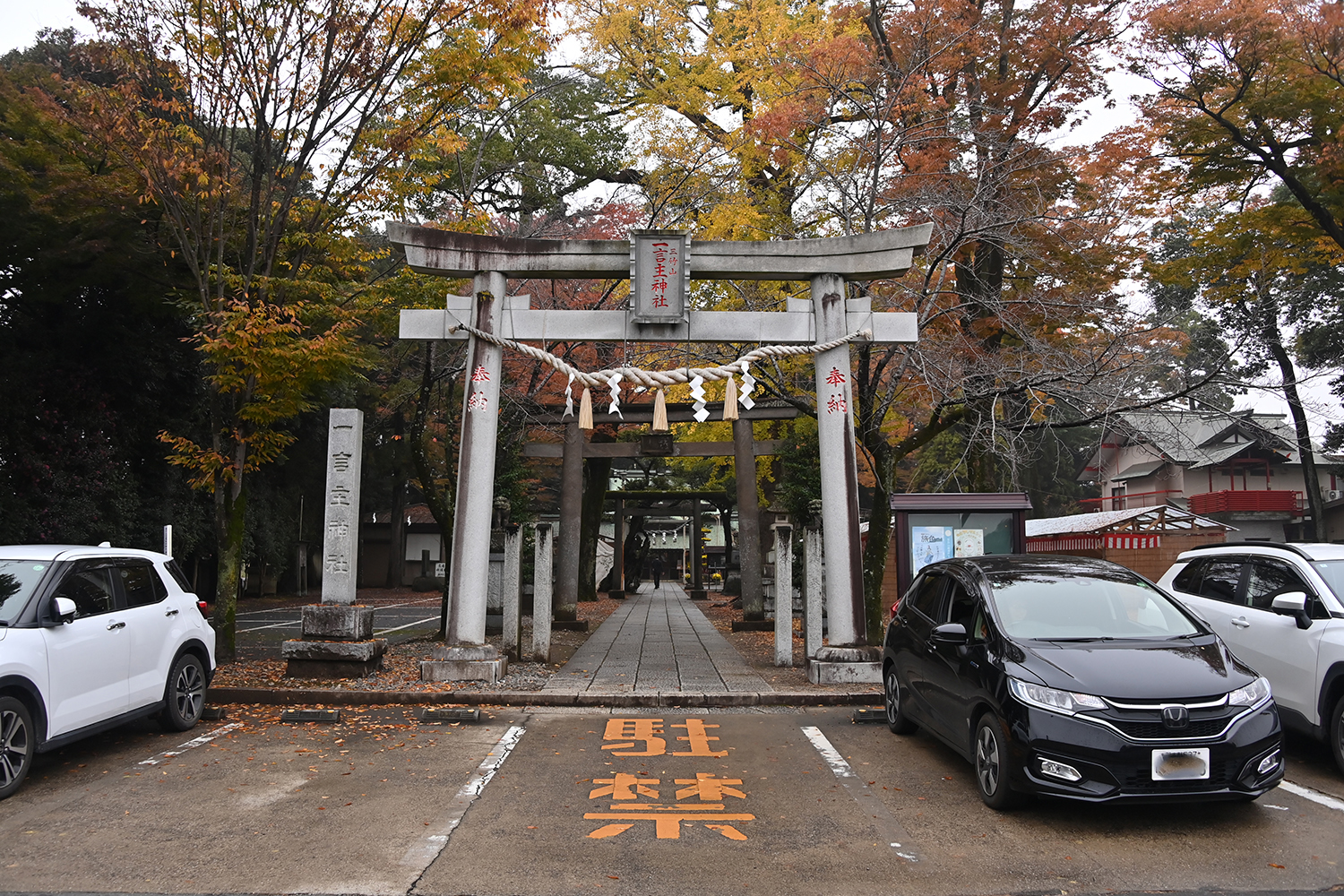 肉汁ジュワッで皮モチモチな「福BASE」の餃子で満”福" 〜 画像14