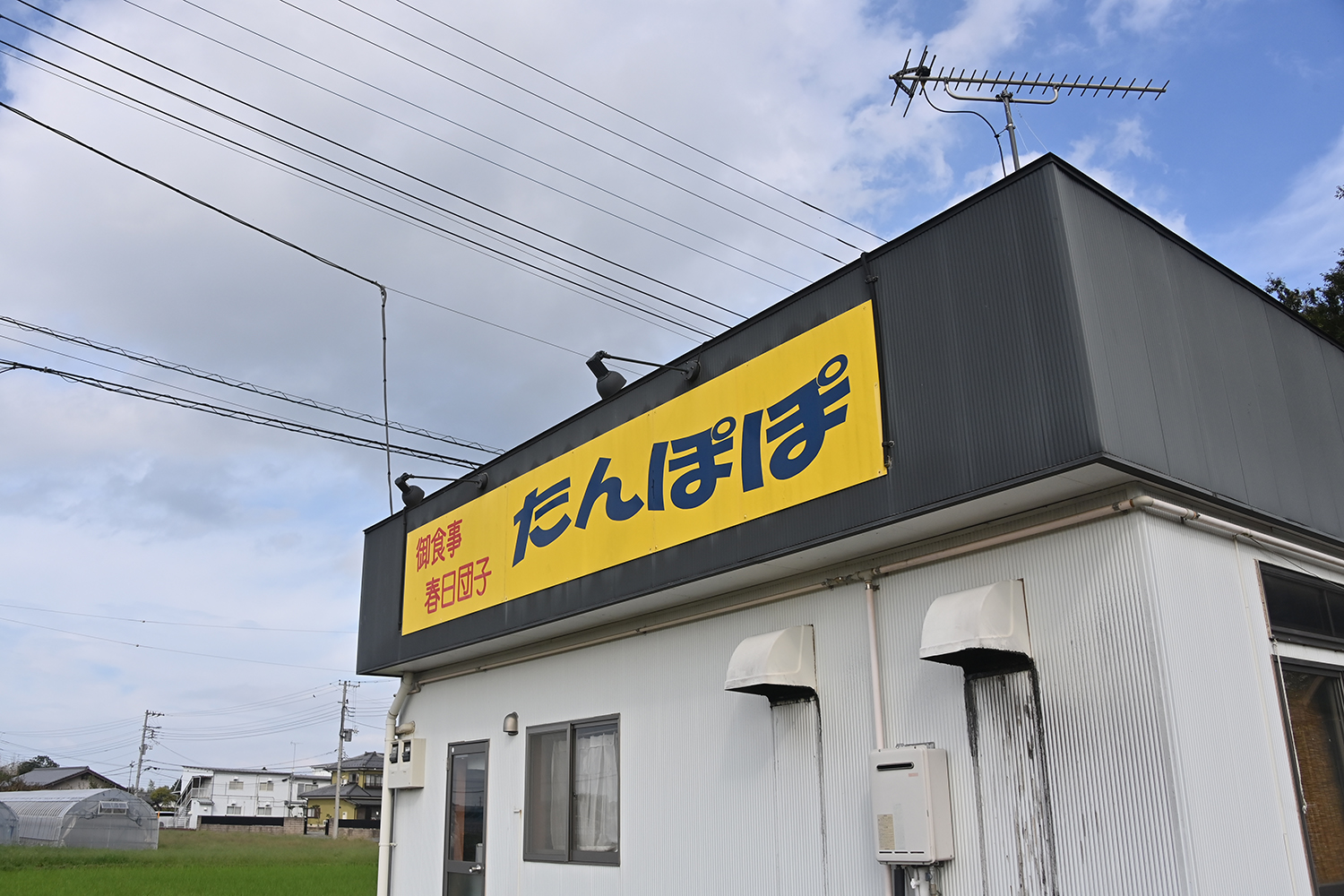 「今日は質素」でこのボリューム!?　川越『たんぽぽ』の1000円定食がコスパ崩壊レベル【Ｐ専食堂】