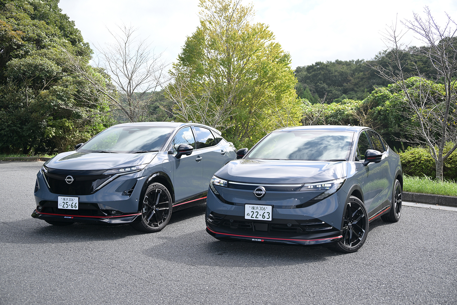 日産アリアニスモとリーフニスモ