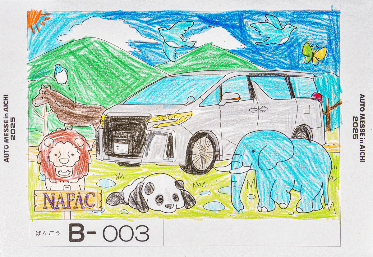 参加者番号: B-003